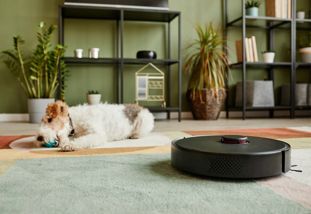 what is the best vacuum cleaner robot